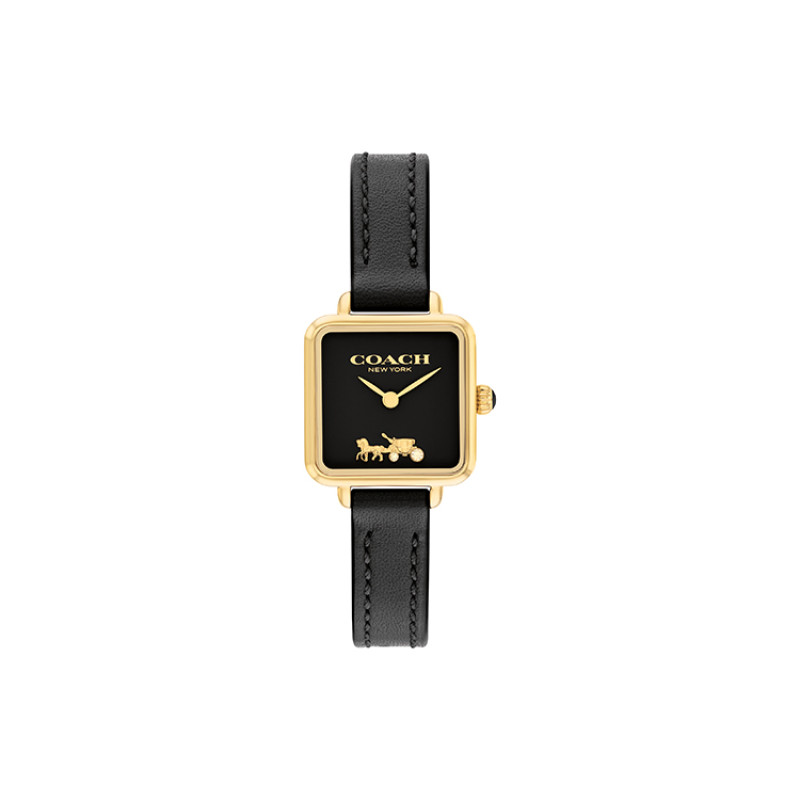 COACHCass 22mm 14504225