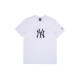 New Era FW22 T