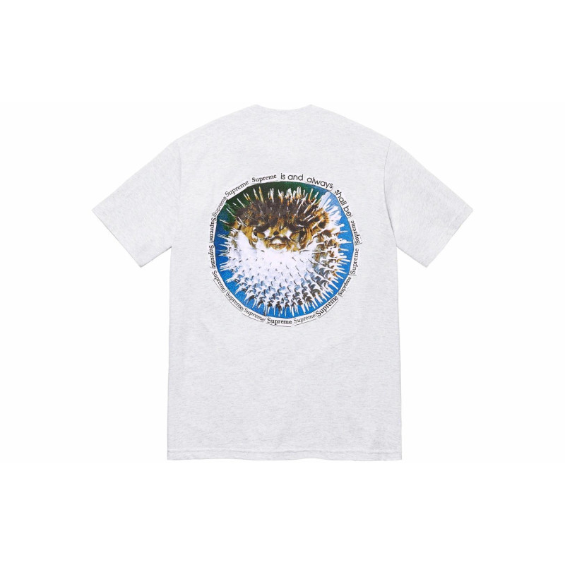 Supreme SS23 WEEK18 BLOWFISH TEE T