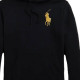 Polo Ralph Lauren Logo