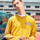 Dickies Logo