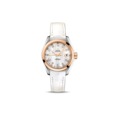 OMEGA AQUATERRA 30mm 231.23.30.20.55.001