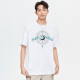 FAIRWHALE T