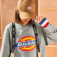Dickies Logo