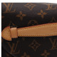 LOUIS VUITTON Bumbag