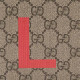 GUCCI LOVE Logo
