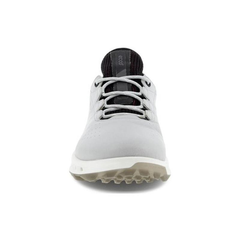 x ecco Biom C4