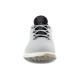 x ecco Biom C4