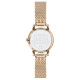 COACH 28mm 30m