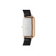 Daniel Wellington QUADRODW 30 DW00100467