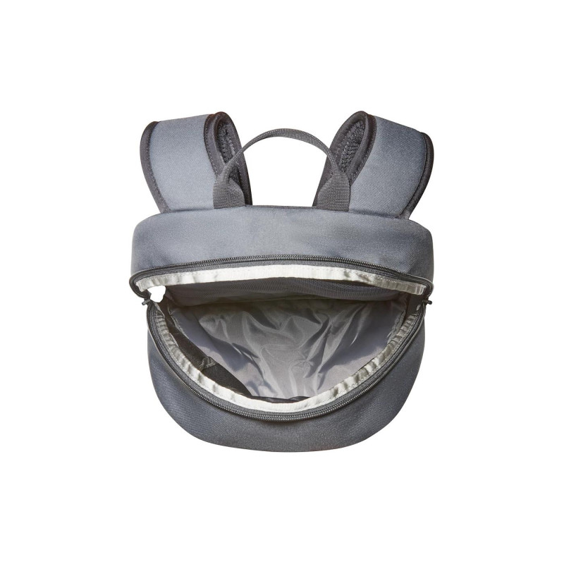 THE NORTH FACE 20L Logo