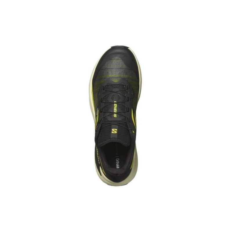 SALOMON Genesis