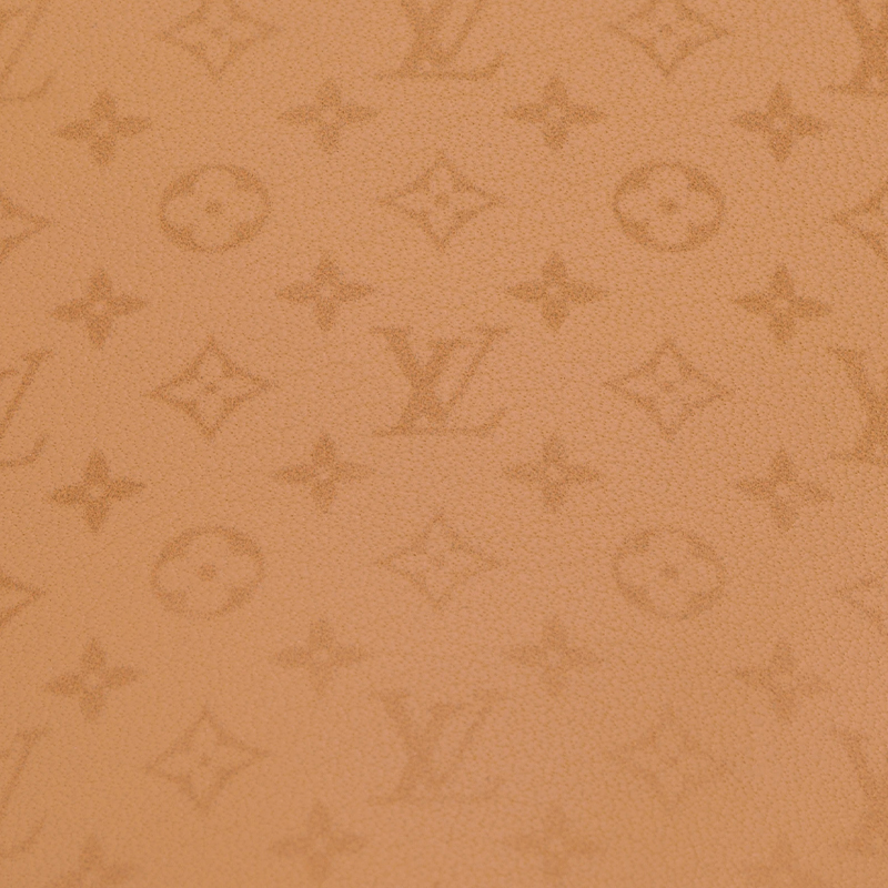 LOUIS VUITTON Fortune Cookie