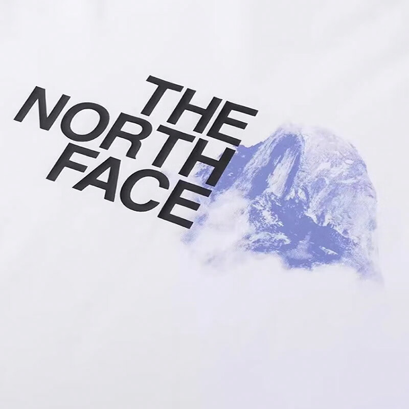 THE NORTH FACE logoT
