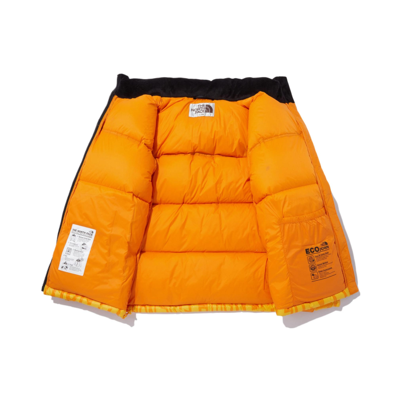 THE NORTH FACE Logo