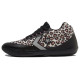 Converse All Star BB Evo