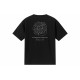 FAIRWHALE T