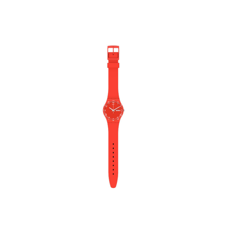 SWATCH 30 34mm GR713
