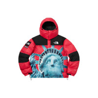 Supreme x THE NORTH FACE FW19 Week 10 Statue of Liberty Baltoro Baltoro