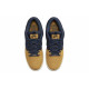 Nike Dunk SB 