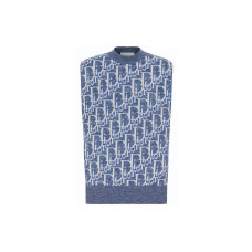 DIOR SS23 Logo