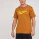 Converse T