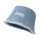 Jeep ins