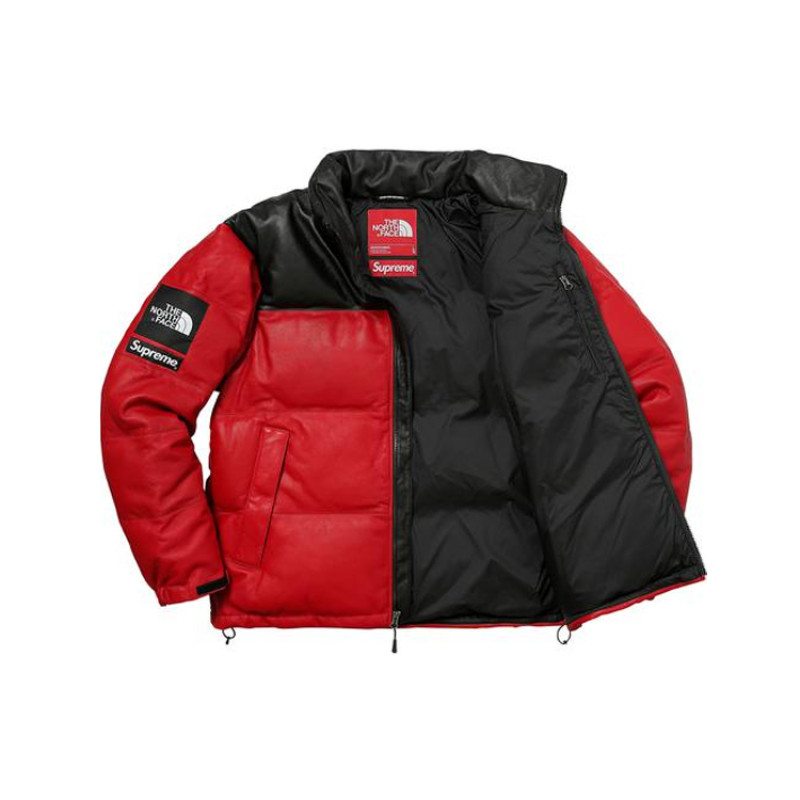 Supreme x THE NORTH FACE FW17