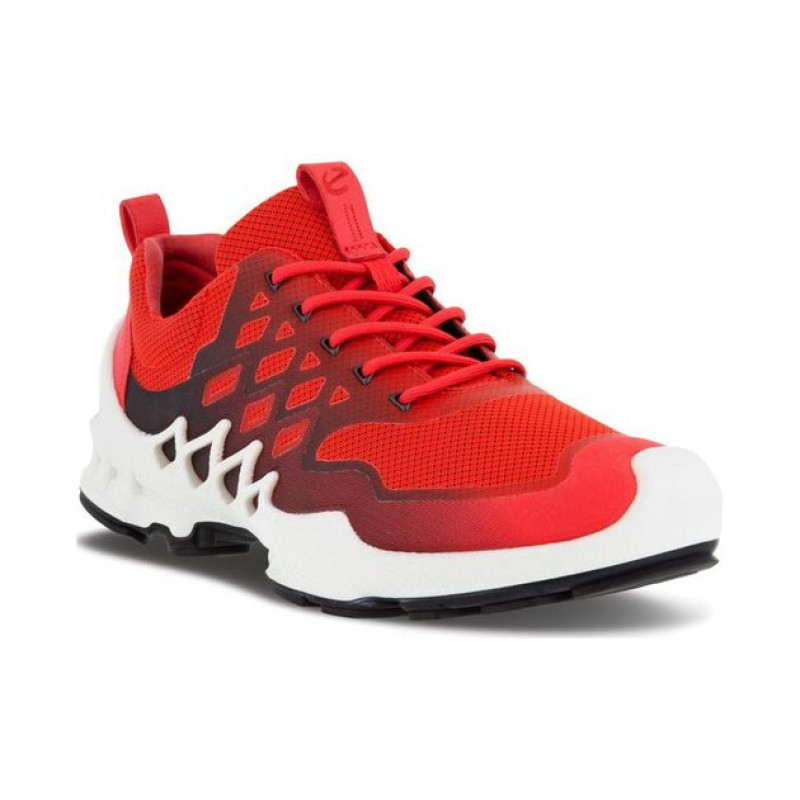 ecco BIOM AEX
