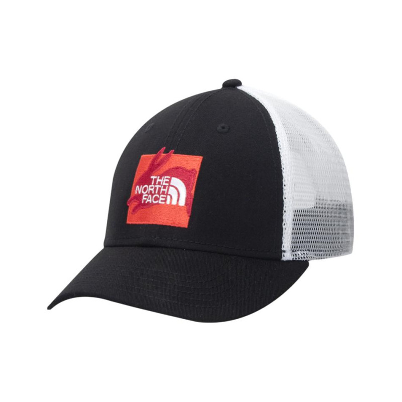 THE NORTH FACE