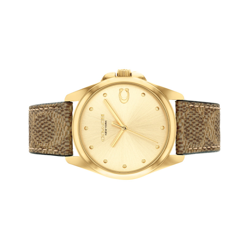 COACHGREYSON 36mm 14504111