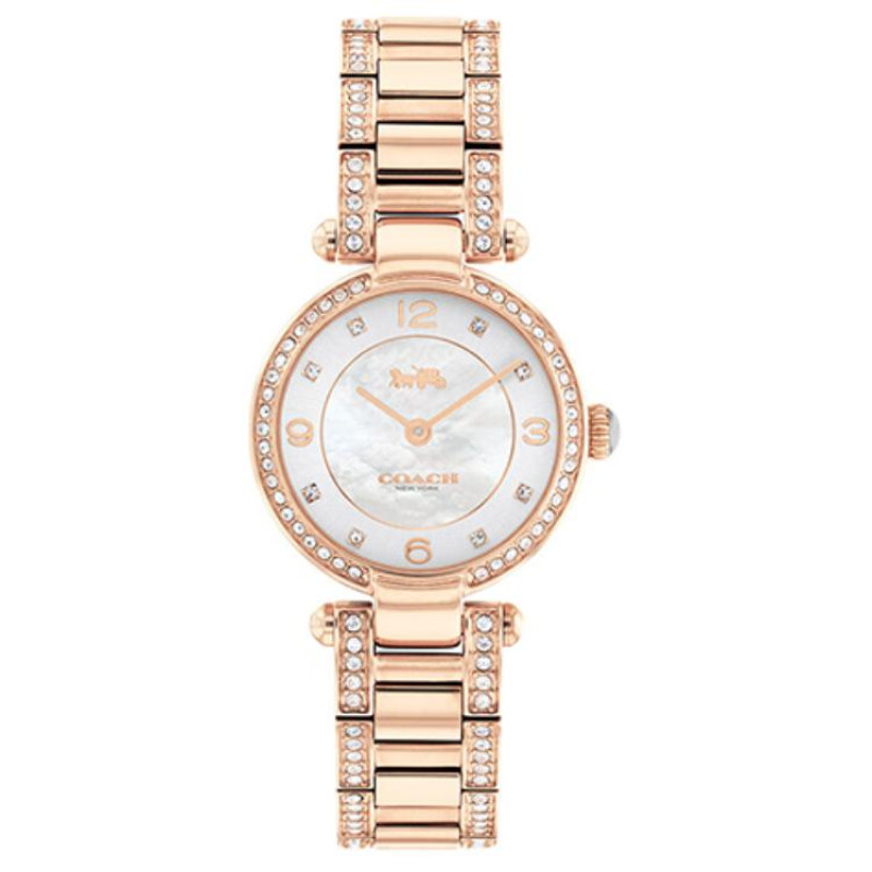 COACHCARY 26mm 30 14503838-1