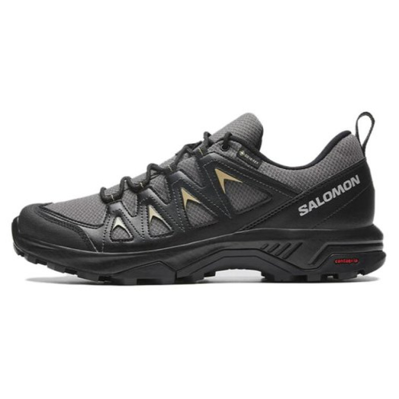 SALOMON X Braze GTX