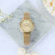 CASIO SHEEN 50 SHE-4539
