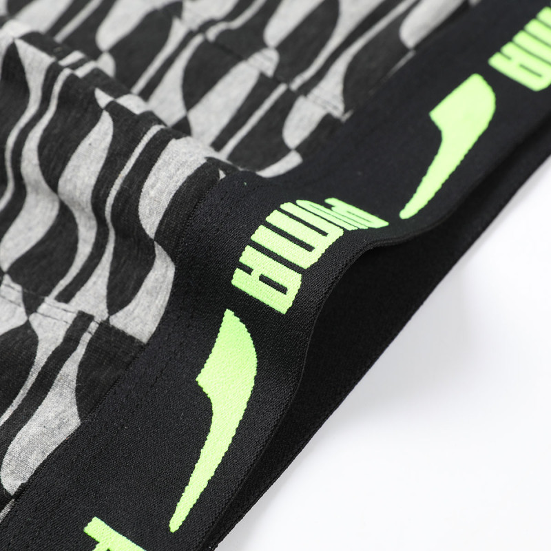 PUMA 1