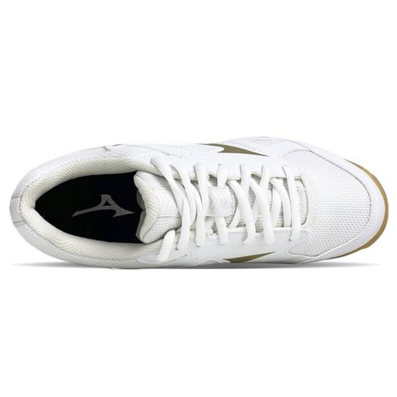 Mizuno Cyclone Speed CN