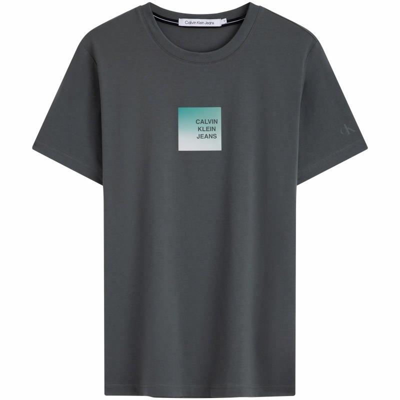 CALVIN KLEIN T
