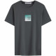 CALVIN KLEIN T