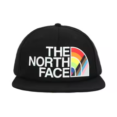 THE NORTH FACE Logo