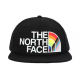THE NORTH FACE Logo