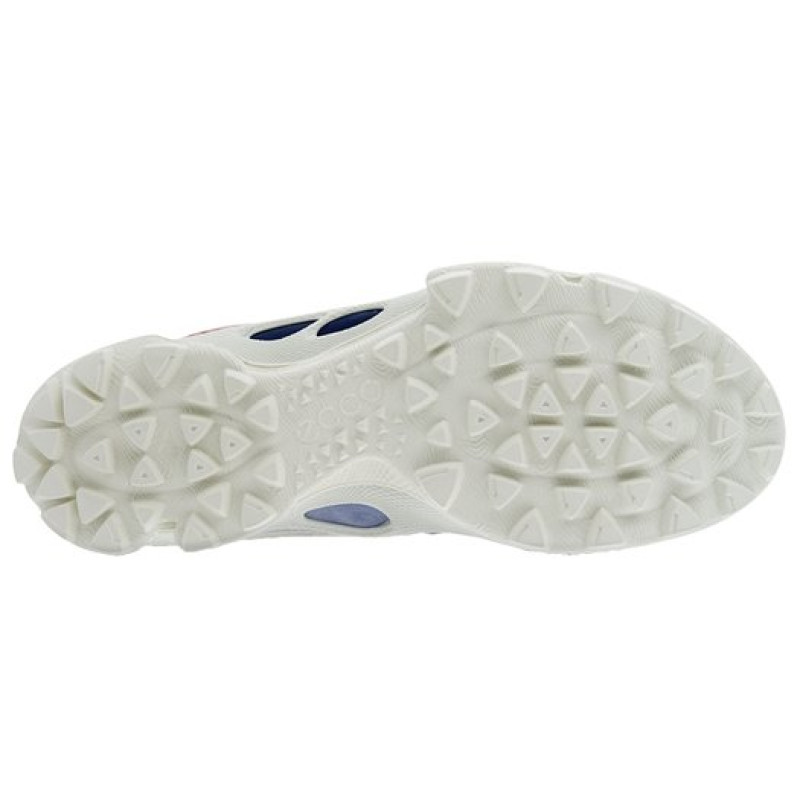 ecco Biom C Trail