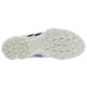 ecco Biom C Trail