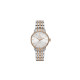 RADO 31.8mm R22862027
