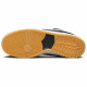 Nike Dunk SB pro iso 