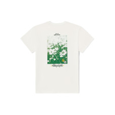 Vans T