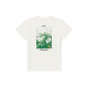 Vans T