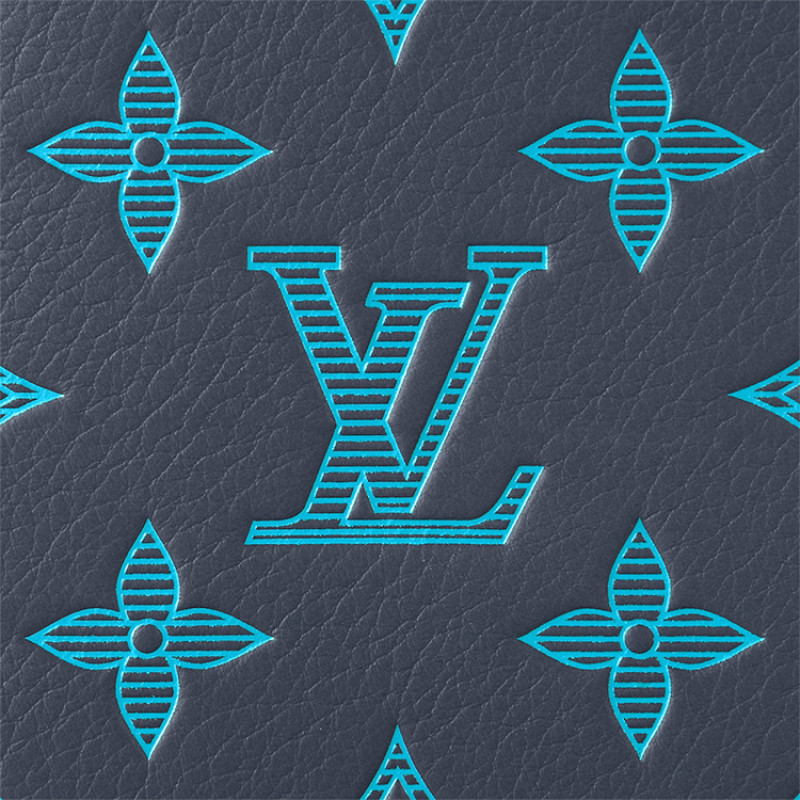 LOUIS VUITTON Multiple