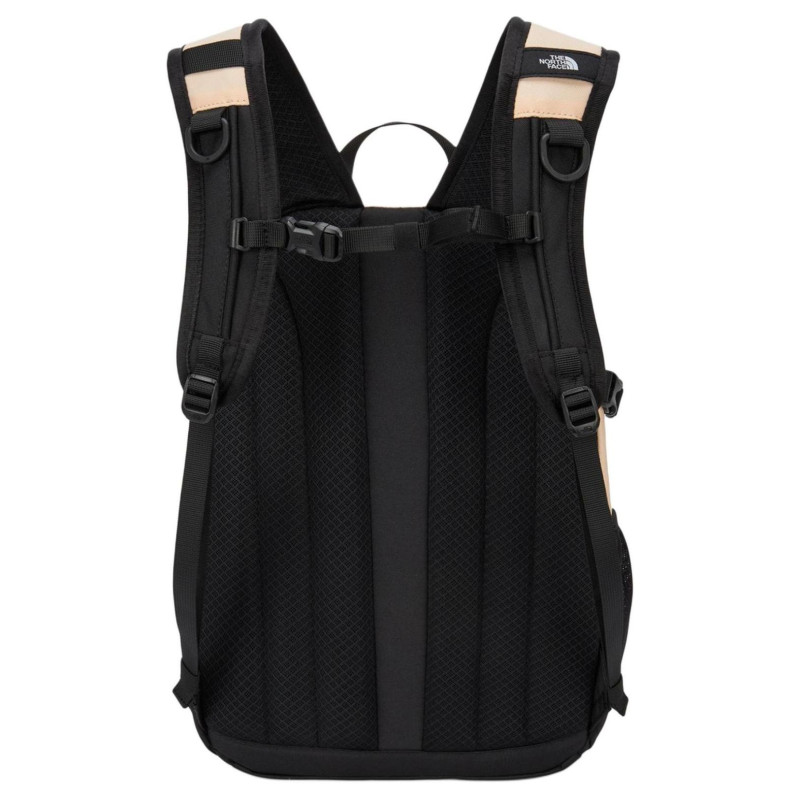 THE NORTH FACE 20LLogo