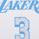 Nike NBA SW 20-21 3