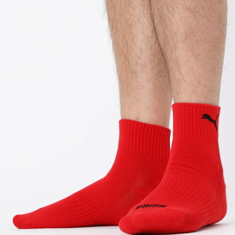 PUMA 3